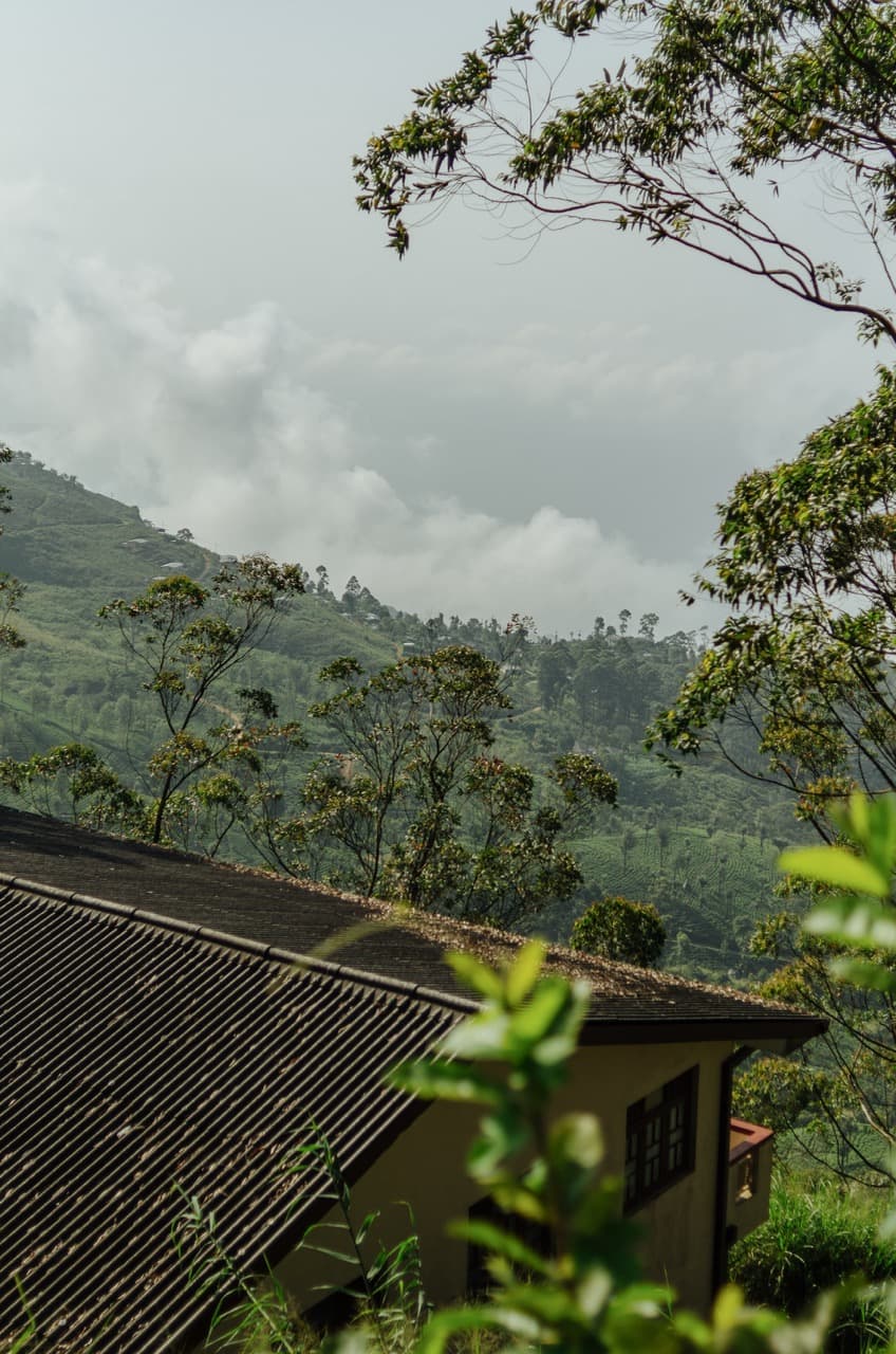 Превью Sri Lanka 2022